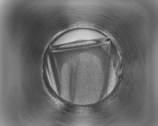 X0000067860438200605041745