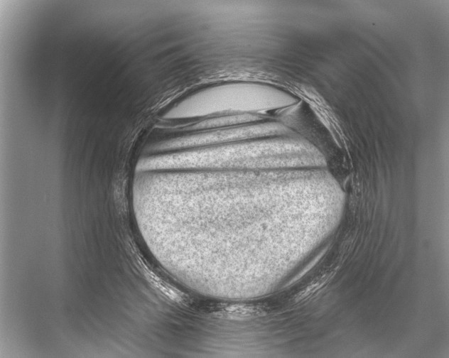 X0000067860441200605041745