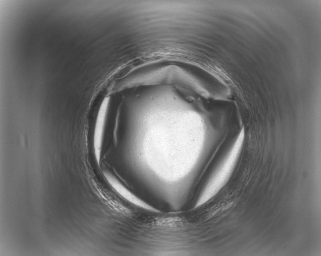 X0000067860446200605041745