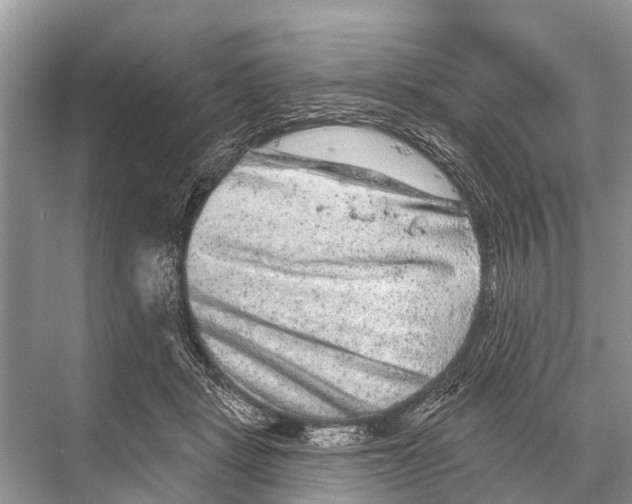 X0000067860461200605041746
