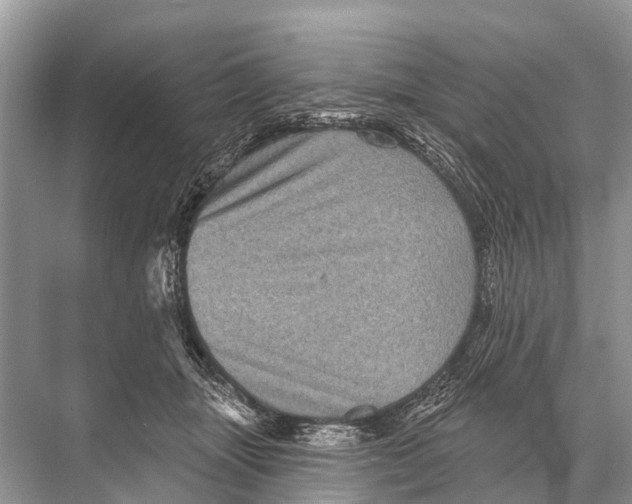 X0000067860463200605041746