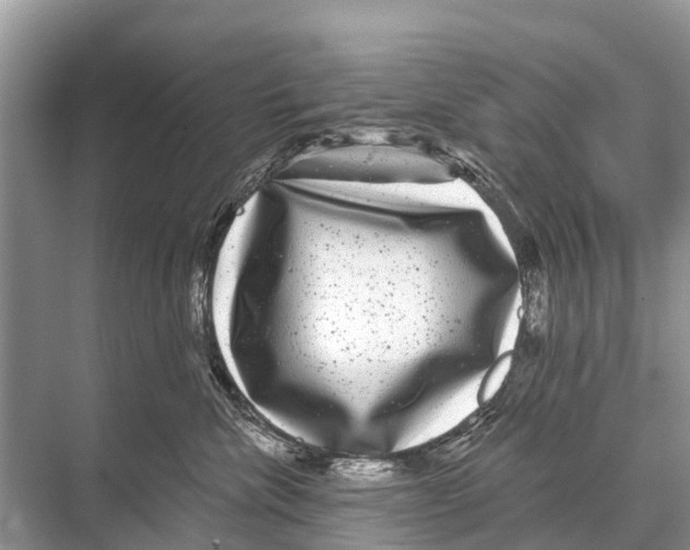 X0000067860476200605041746