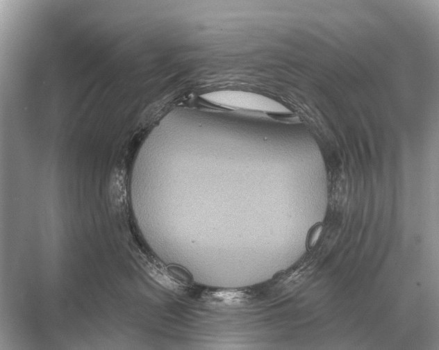 X0000067860478200605041746