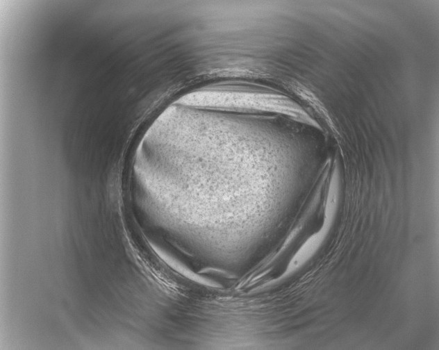 X0000067860482200605041745