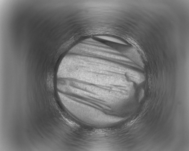 X0000067860489200605041745