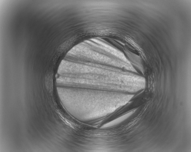 X0000067860493200605041745