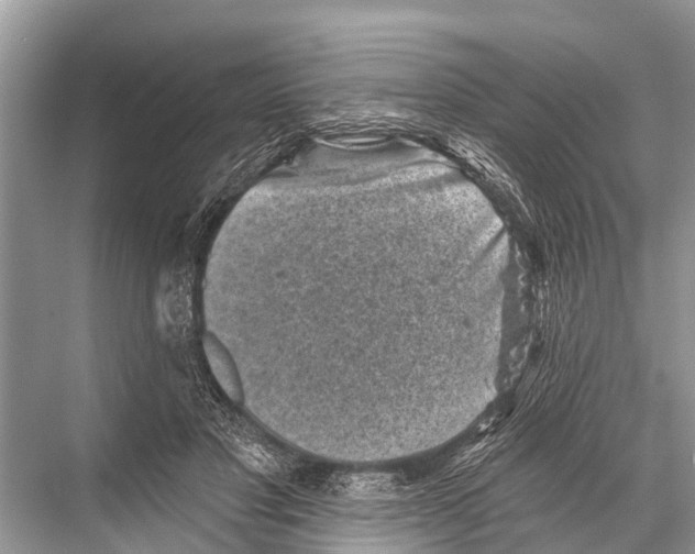 X0000067860501200605041745