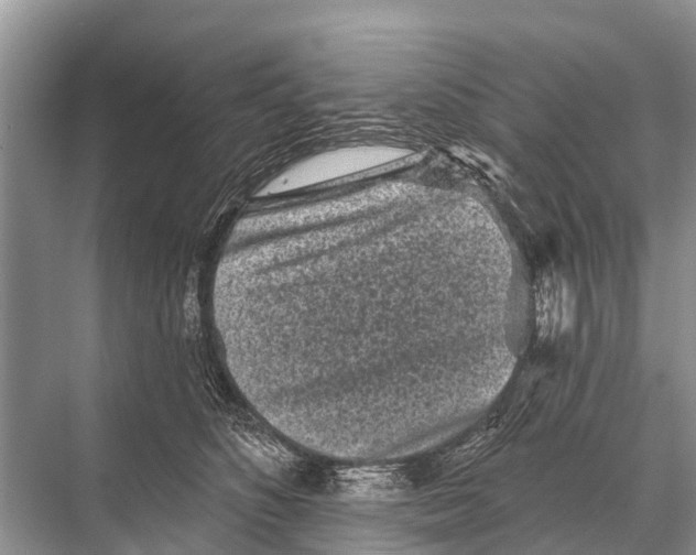 X0000067860516200605041744