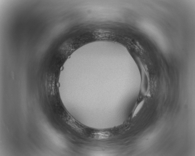 X0000067860525200605041744