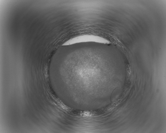 X0000067860565200605041744