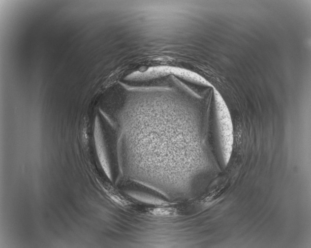 X0000067860566200605041744