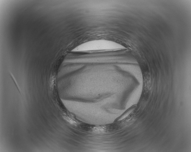 X0000067860574200605041744