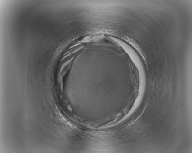 X0000067860577200605041743