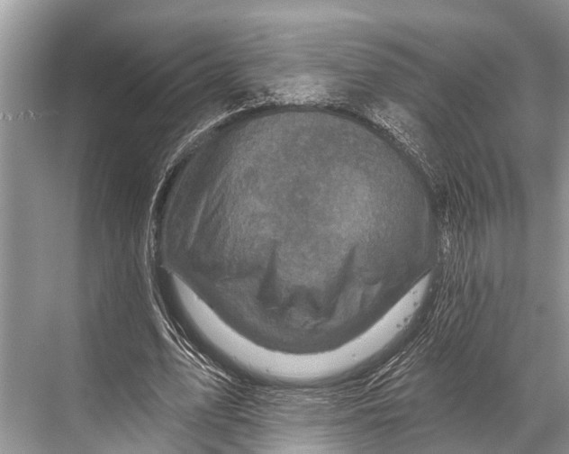 X0000067860583200605041743