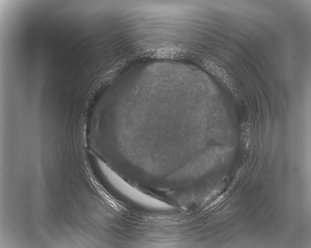 X0000067860589200605041743