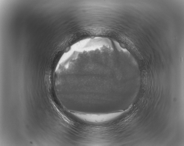 X0000067860590200605041743