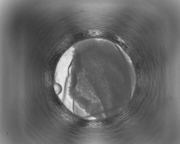 X0000067860606200605041743