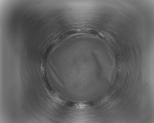 X0000067860607200605041743