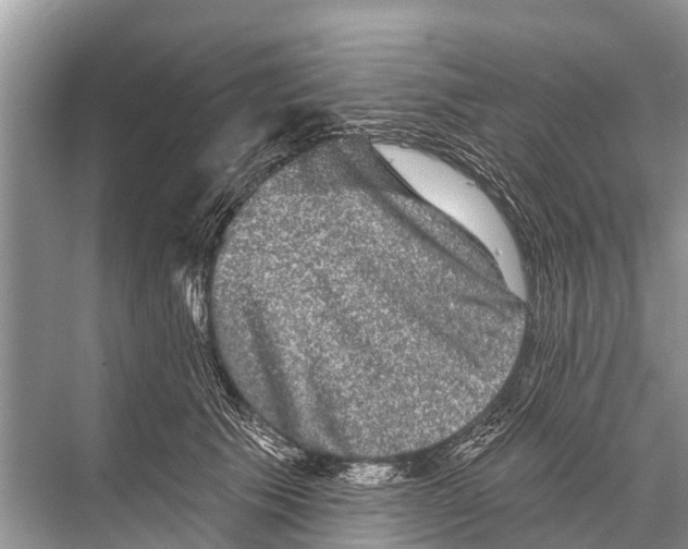 X0000067860609200605041743