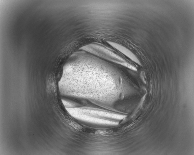 X0000067860613200605041743