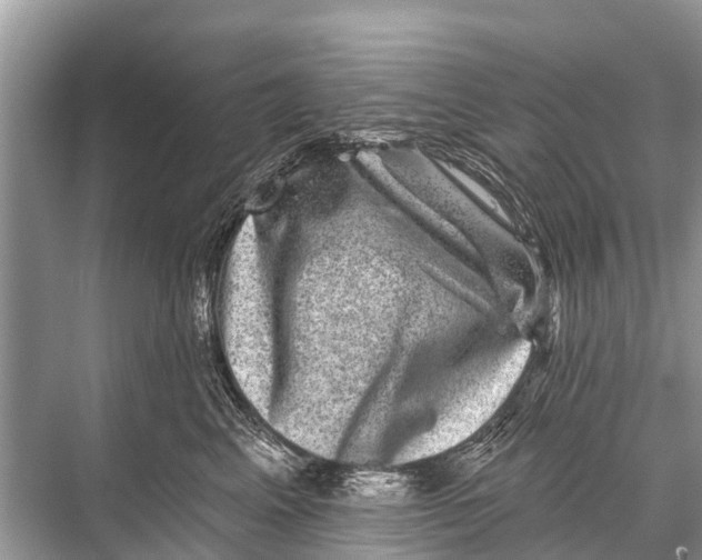 X0000067860617200605041743