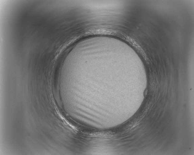 X0000067860625200605041742
