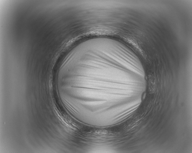 X0000067860631200605041742