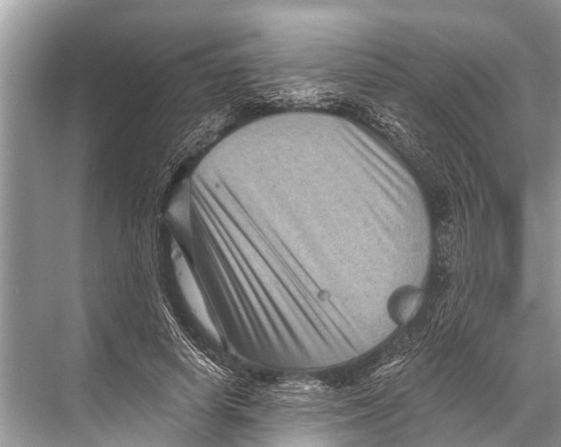 X0000067860642200605041742
