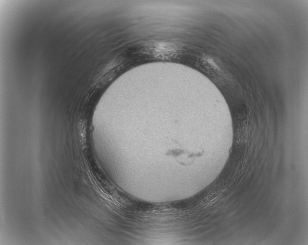 X0000067860646200605041742