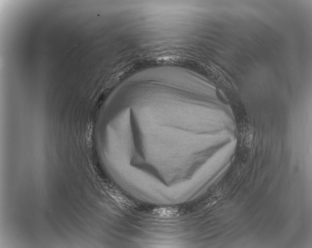 X0000067860660200605041742