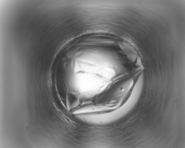 X0000067860676200605041742