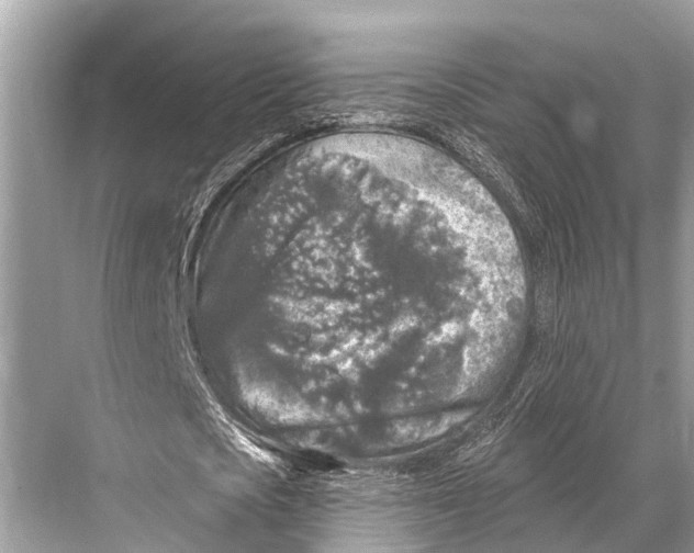 X0000067860721200605041740