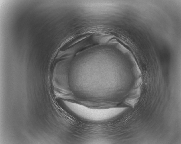 X0000067860731200605041740