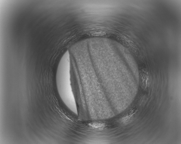 X0000067860745200605041741