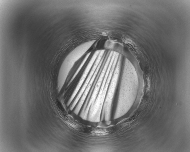 X0000067860750200605041741