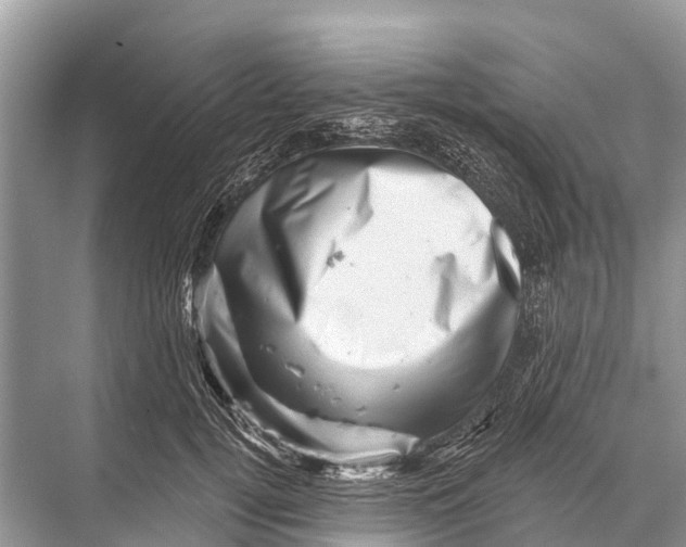 X0000067860752200605041741