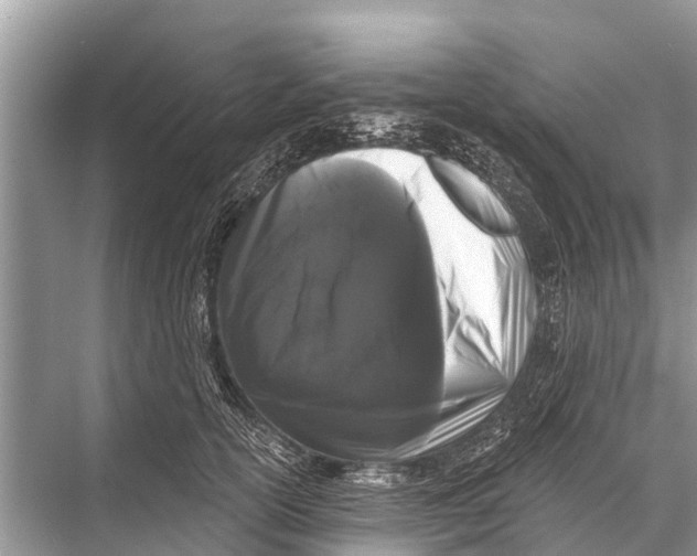 X0000067860754200605041741