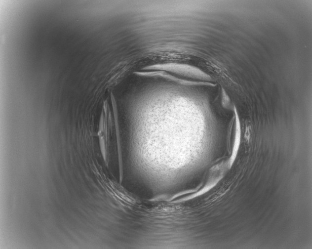X0000067860771200605041740