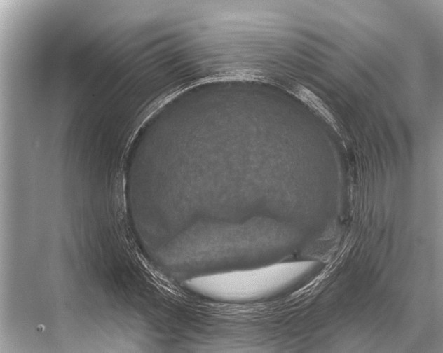 X0000067860781200605041740