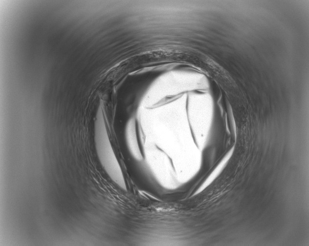 X0000067860822200605041739
