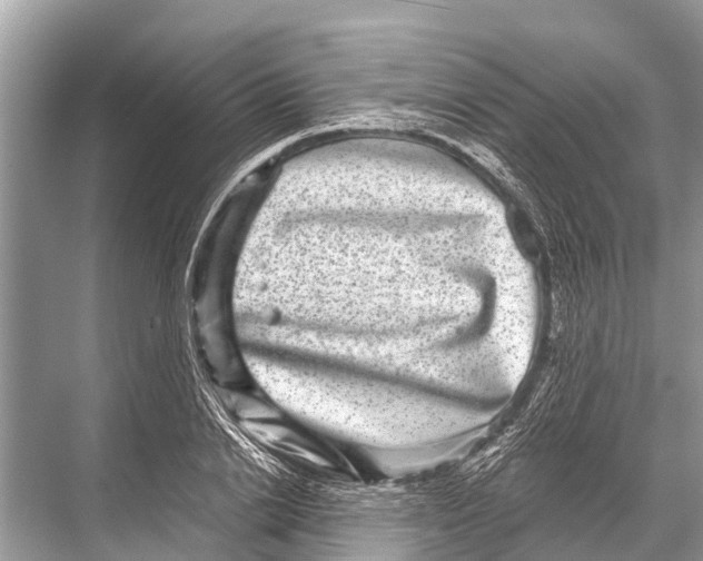 X0000067860838200605041739