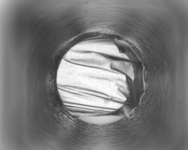 X0000067860872200605041739