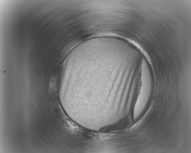 X0000067860905200605041738