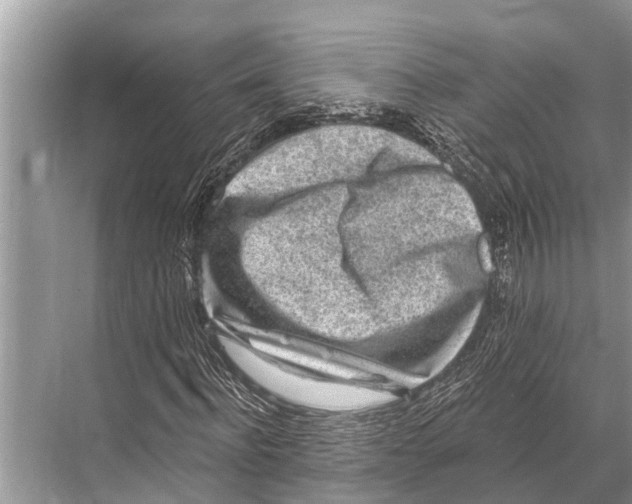 X0000067860916200605041737