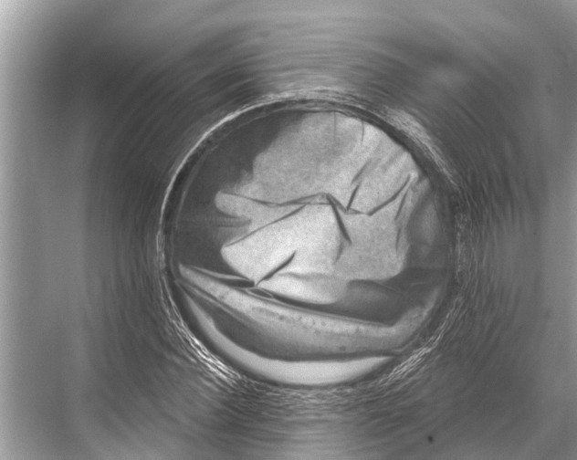 X0000067860924200605041737