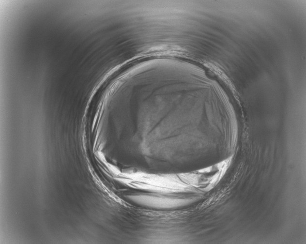X0000067860941200605041738