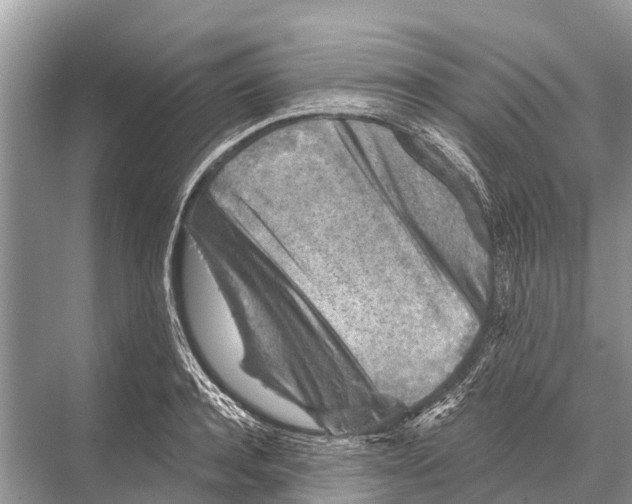 X0000067860944200605041738