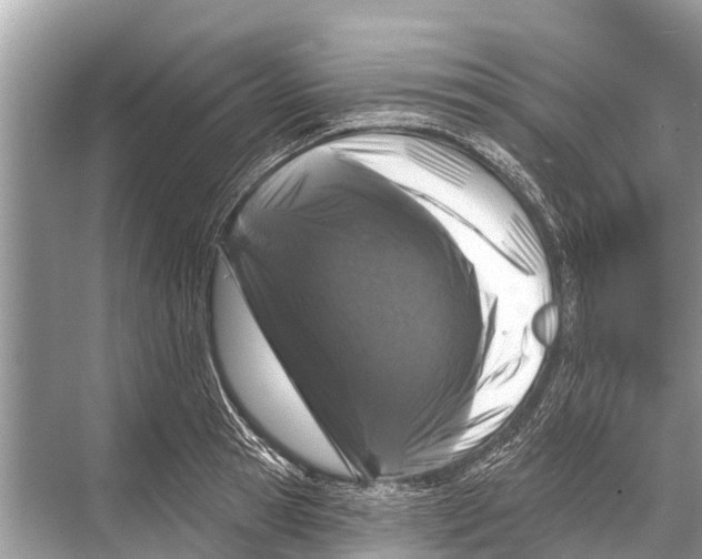 X0000067860945200605041738