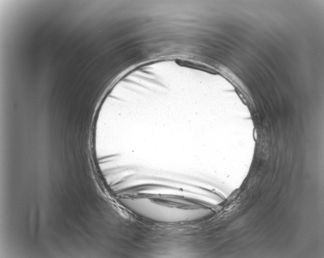 X0000067860956200605041738