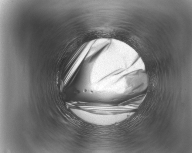 X0000067860964200605041737
